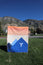 Y Mountain Pattern {Paper}