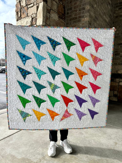 Follow Me Airplane Quilt Kit