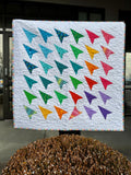 Follow Me Airplane Quilt Kit