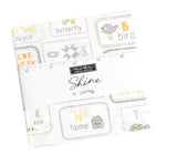 Shine Charm Pack